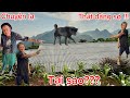 Chuyện lạ có thật !!! Aly và Bà phát hiện chó con sủa tiếng lạ trên nóc nhà vào nửa đêm hôm…???