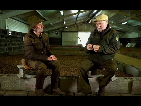 Reviczkyvel az Erdőben – III. évad – 9/12. epizód – A zalai erdők rejtett kincsei