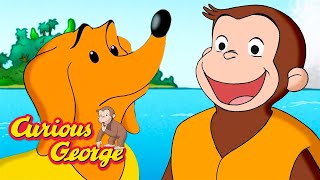 Get Back to Land! 🐵 Curious George 🐵 Kids Cartoon 🐵 Kids Movies