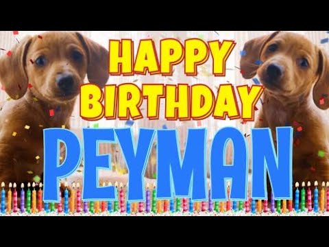 Happy Birthday Peyman! ( Funny Talking Dogs ) What Is Free On My Birthday