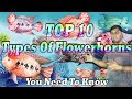 Top 10 Types of Flowerhorns You Need to Know