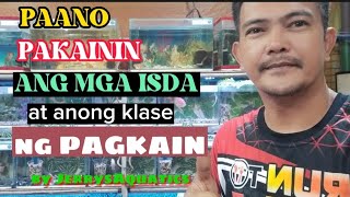 PAANO PAKAININ ANG MGA ISDA SA AQUARIUM