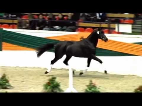 Millennium v. Easy Game - Ravel - Consul