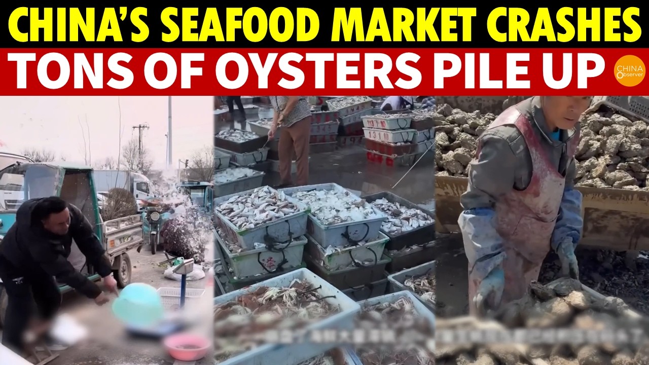 China’s Seafood Market Crashes! Tons of Oysters Pile Up, Thousands of Fishing Boats Halted