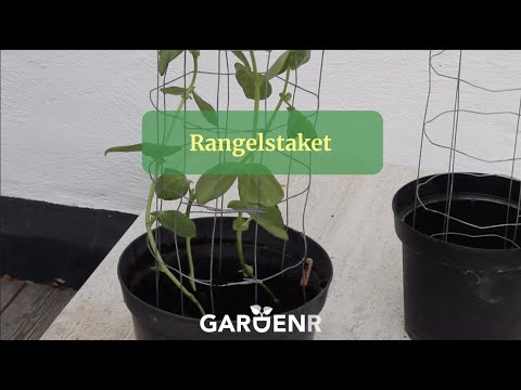 Rangelstaket - Trädgårdshacks med GardenR