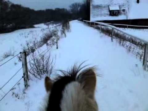 Mit Søren unterwegs