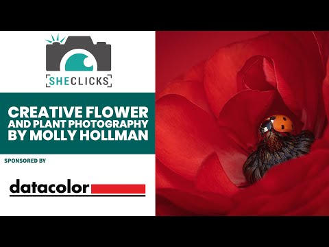 Creative Flower and Plant Photography with Molly Hollman