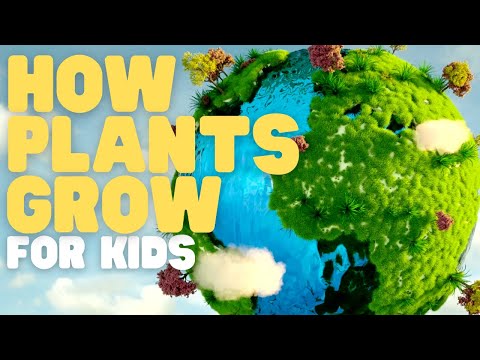 , title : 'Bagaimana Tanaman Tumbuh untuk Anak | Pelajari tentang fotosintesis dan apa yang dibutuhkan tanaman untuk tumbuh kuat'