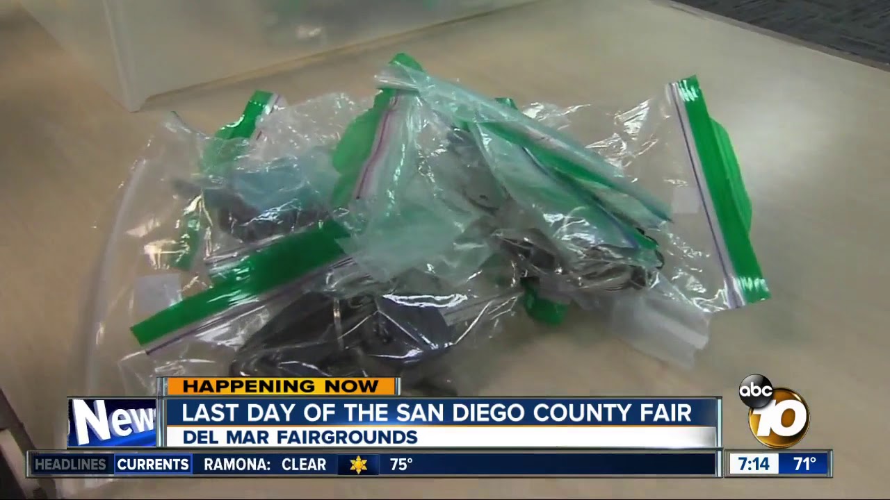 Odd items found at the fair