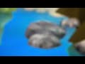 Word World Rock