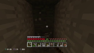 マイクラ生放送　ついに完成！？