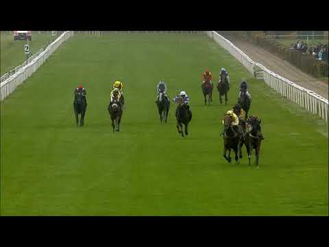 Galopprennbahn Dresden - 20.11.2019 - 2.Rennen