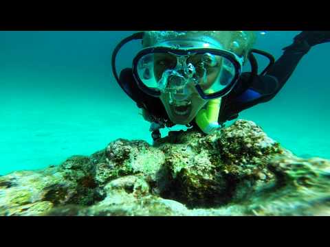 Teeth on the Reef in HD