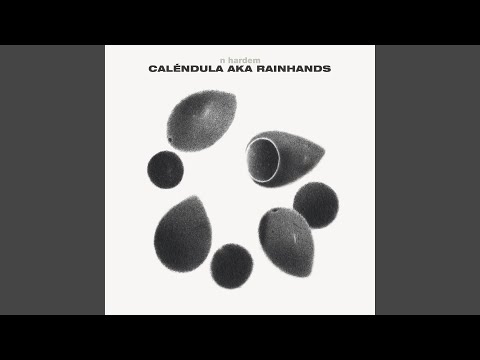 Caléndula Aka Rainhands