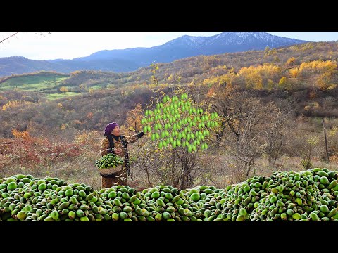 Healthy recipes! We made juice and jam from fresh feijoa in the village