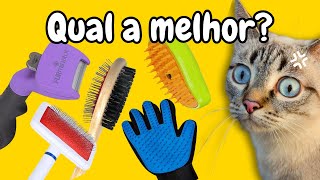 MELHORES ESCOVAS para ESCOVAR os Gatos do JEITO CERTO! NÃO COMETA ESSES ERROS NA HORA DA ESCOVAÇÃO!