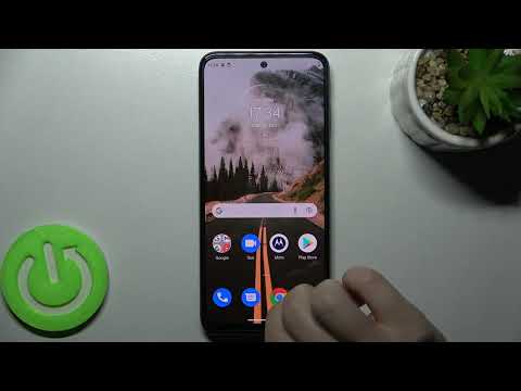 How to Enable/Disable Google Feed on MOTOROLA MOTO G31 – Google Feed