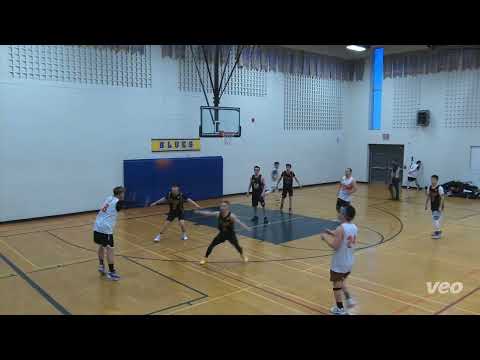 Goose Balloon vs T-Rex - sunday tier - tcbl 2022 fall