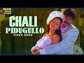 Chali Pidugullo Video Song Badri Movie Pawan Kalyan Renu Desai ThappakaChudandi9