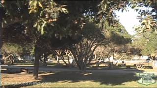 preview picture of video 'CampgroundViews.com - Carpinteria State Beach Campground Carpinteria California CA'