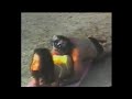 Funny Videos Compalition Chandani Gupta