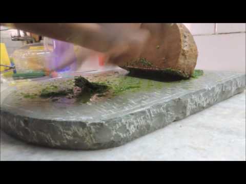 download lagu mp3 mp4 Parsley Chutney, download lagu Parsley Chutney gratis, unduh video klip Parsley Chutney