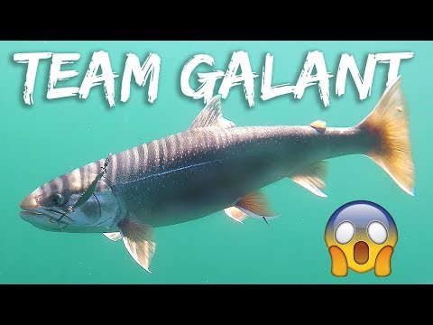 Fiskeri efter rødding på Vättern i Sverige