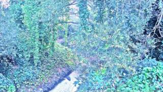 Lil B - "See You Cry" LEAK FROM THE SECRETE ALBUM "PAINT" PRODUCED BY THE BASEDGOD