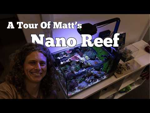 A Tour Of Matt's First Nano Reef Aquarium