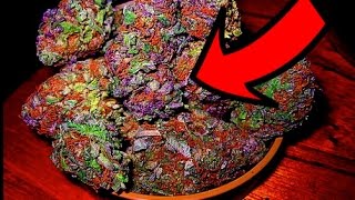 Top 10 Most Popular Weed Strains EVER!