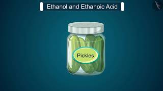 Ethanol and Ethanoic Acid | Part 1/1 | English | Class 10