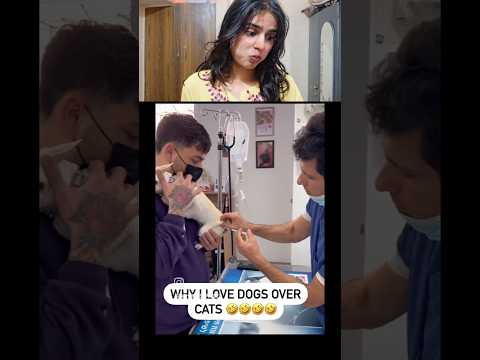 Try Not to awww 🙂‍↕️🙂‍↔️🤣||Wait for End ||#funny  #dog #shorts #cutememes