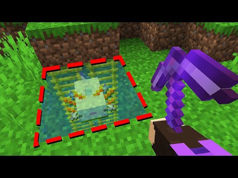 I INVADED A SECRET BASE TO RECOVER MY PET