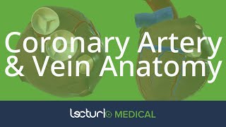 Coronary Artery & Vein Anatomy | Cardiac Anatomy