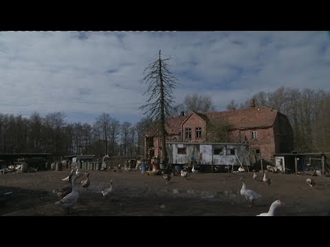 Der verrückte Bauernhof