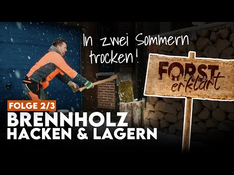 Euer Brennholz vergammelt sonst! Brennholz richtig lagern |  Forst erklärt Brennholz-DIY Part 2/3