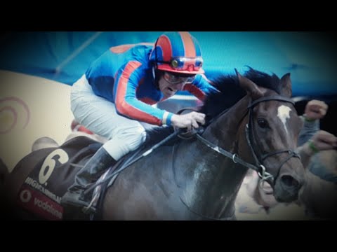 UK RACING Superstars🏇Vol 3: HIGH CHAPARRAL & HAWK WING 🏇