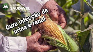 Chá do cabelo de milho a cura pela natureza