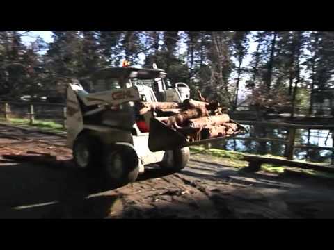 2016-02-06 - PRATO, CENTRO DI SCIENZE NATURALI, GRANDI PULIZIE AL VIA