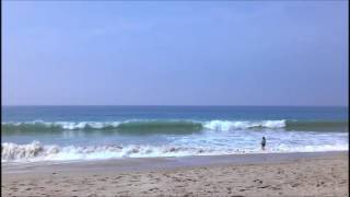 Westward Beach Malibu Whale Pod Gray Grey Whales Migrating March 18 2017 Southern California