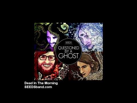 Medusa's Disco - Dead In The Morning - Track 1