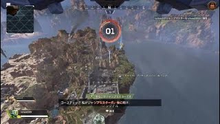 下手ApexLegends#19
