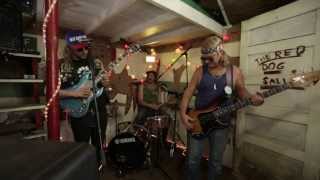 King Tuff - Wild Desire (Live @Pickathon 2013)