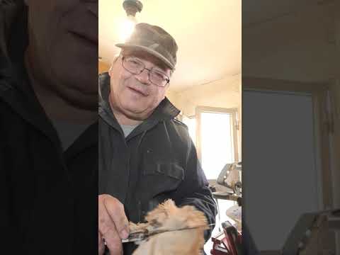 preparazione pattadese