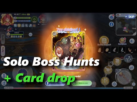DPS AB solo Boss hunt + Card drop | rox | Ragnarok X: Next Generation