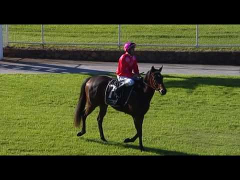 Belmont Park, 11/05/2016 - Race 5 - JEWEL SASSO - Phil Humann & Peter Knuckey