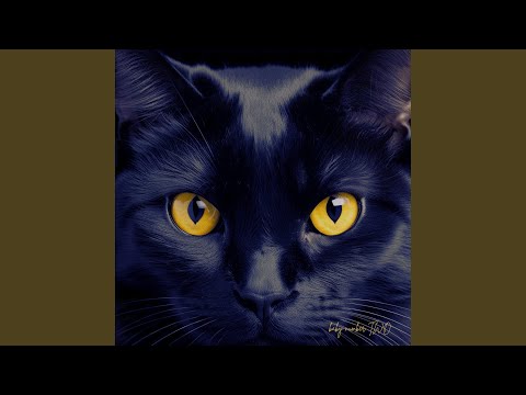 Sin compromiso (acoustic session in brazil)