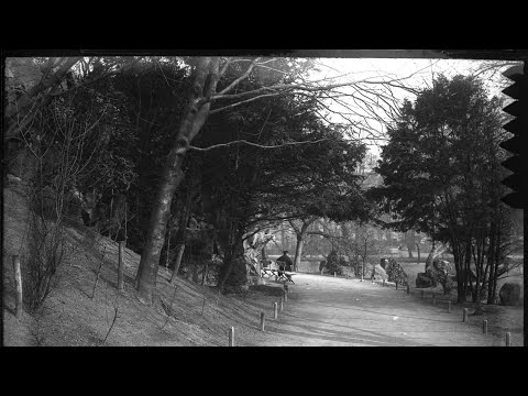 Sent to archive - Antwerpen Stadspark