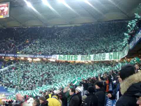 HSV-Rapid, Rapid Fans sind einfach die Besten
