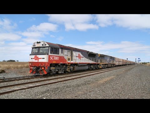 1PM9 SCT Freight Train With SCT001 & CF4410 - PoathTV Australian Railways